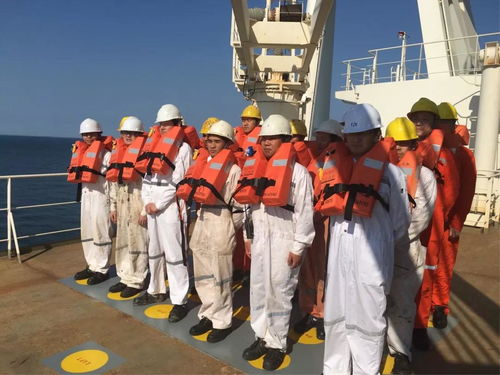 陽海國際船舶公司誠聘招生代理，共拓國際船舶管理業務新篇章